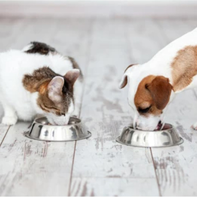 Veterinar/HRANA SI SUPLIMENTE ANIMALE