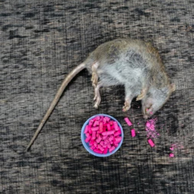 Veterinar/INSECTICIDE SI RATICIDE/Raticide & Momeala Soareci