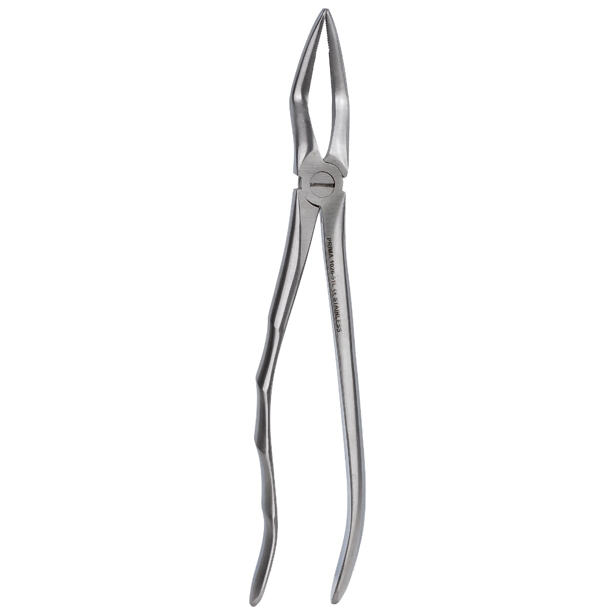 Cleste extractie nr. 51L - Radacini superiori, PRIMA