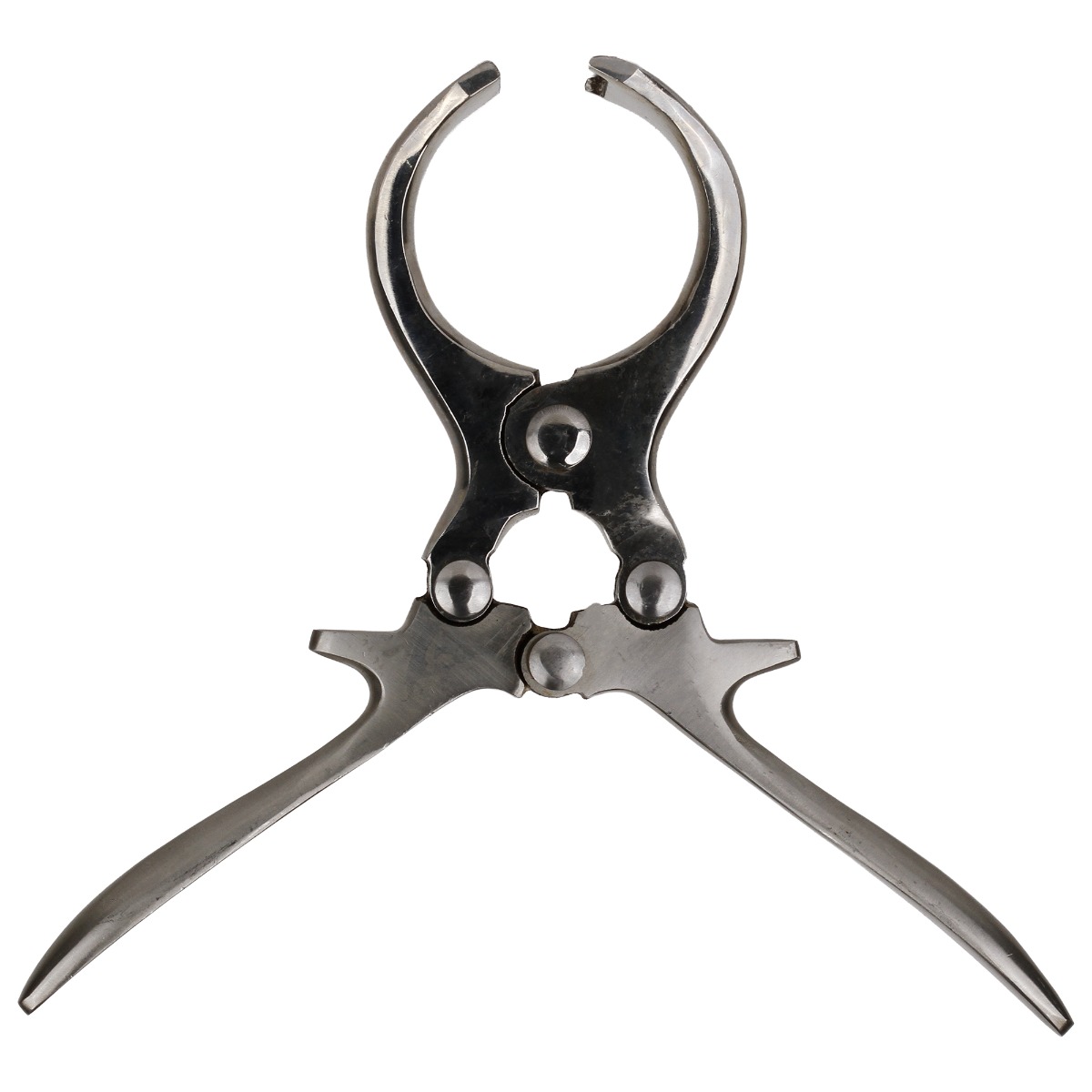 Cleste Burdizzo, 22cm, pentru castrare nesangeroasa, inox, PRIMA