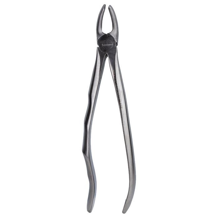 Dental Practice/DENTAL INSTRUMENTS/Dental Instruments - Dental extraction forceps, PRIMA, various types