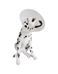 Veterinar/PROTECTIE ANIMALE/Gulere Animale - Guler de protectie pentru animale, transparent, M, PRIMA, 10 buc