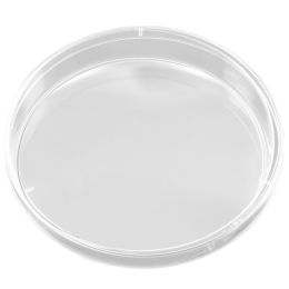 Cutii Petri cu 1 compartiment PRIMA, 10bucati/set