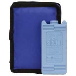 Prim Ajutor/Articole si Genti Prim ajutor/Black Friday - Geanta termoizolanta pentru insulina, 17 x 11.5 x 5.5 cm, albastra