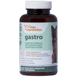 Formula sistem digestiv caine, Gastro, pulbere 120g, uz veterinar
